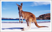 Australia travel